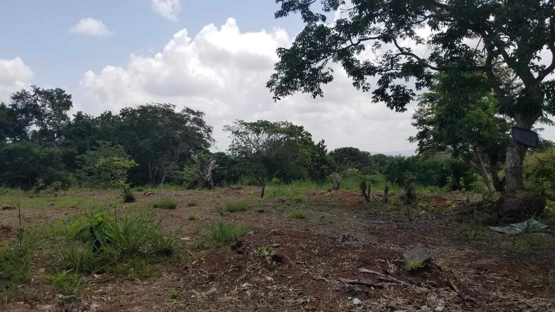 Commercial Property for Sale in La Chorrera Panamá Province